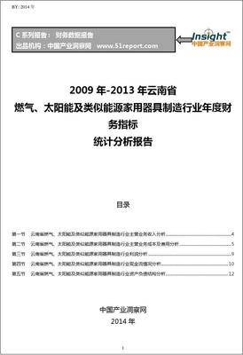 2009-2013年云南省燃?xì)?、太?yáng)能及類(lèi)似能源家用器具制造行業(yè)財(cái)務(wù)指標(biāo)分析年報(bào)——聚焦太陽(yáng)能用器具制造