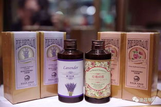 歡慶新中國70周年華誕 金昌甘貨與您相伴文化藝術交流策劃